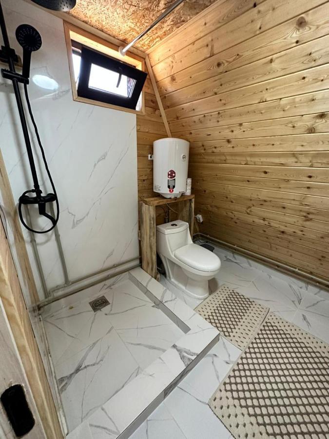 Aframe_Kolsai Apartment Saty Exterior photo